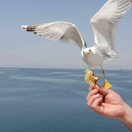 شقة Blue Sea Y كافالا