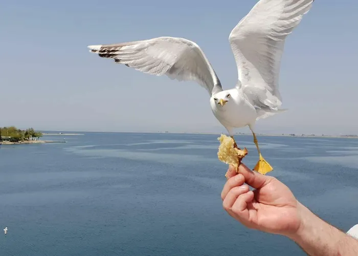 Apartamento Blue Sea Y Kavala